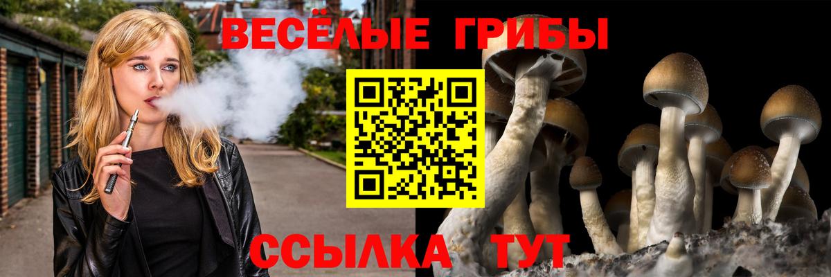 Галлюциногенные грибы мухоморы  Вход с VPN  Галлюциногенные грибы ЛСД  Оренбург 